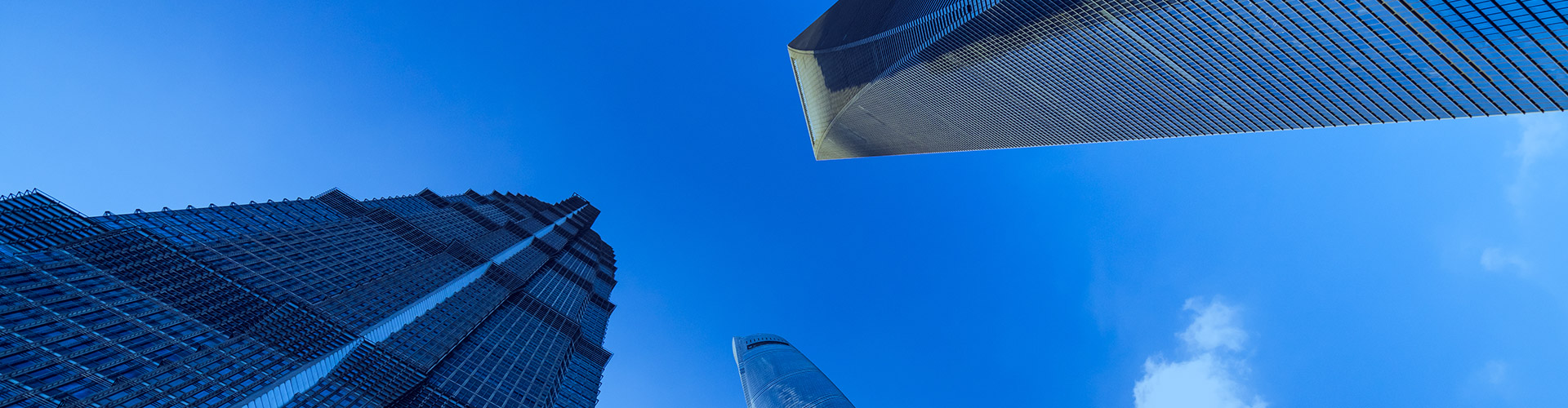 雷速体育（中国）官方网站LEISU SPORTS-公司简介